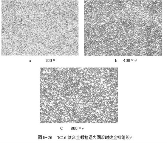 TC16钛合金螺栓退火固溶时效金相组织