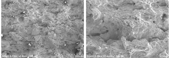 图9-13 瞬断区低倍形貌 图9-14 瞬断区高倍韧窝形貌