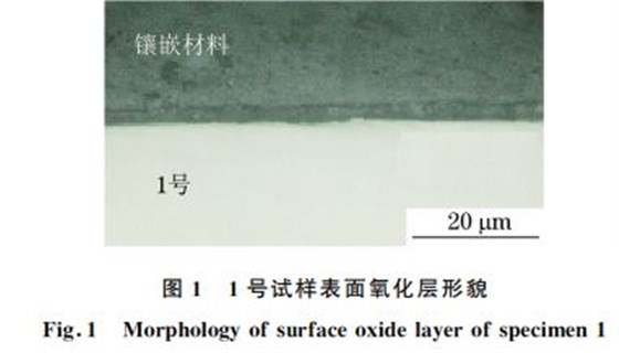 图１ １号试样表面氧化层形貌