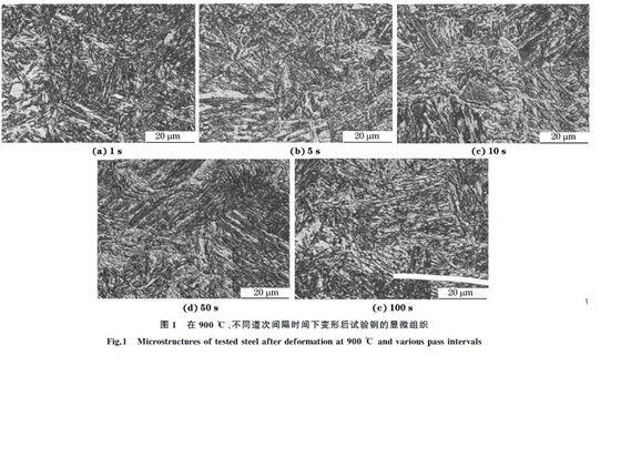图１ 在９００ ℃、不同道次间隔时间下变形后试验钢的显微组织