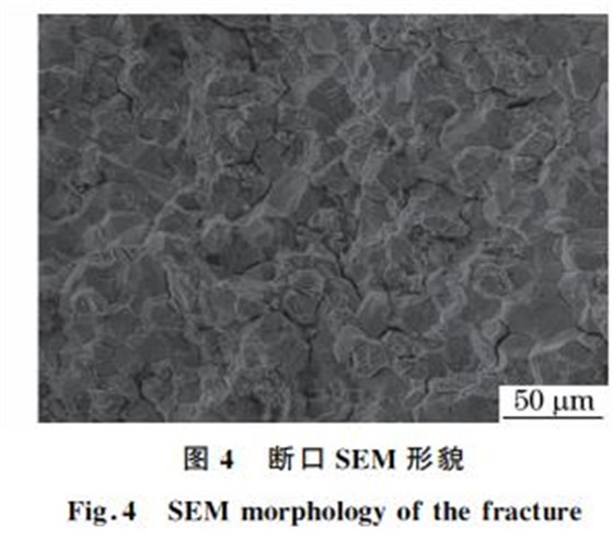 图４ 断口SEM 形貌
