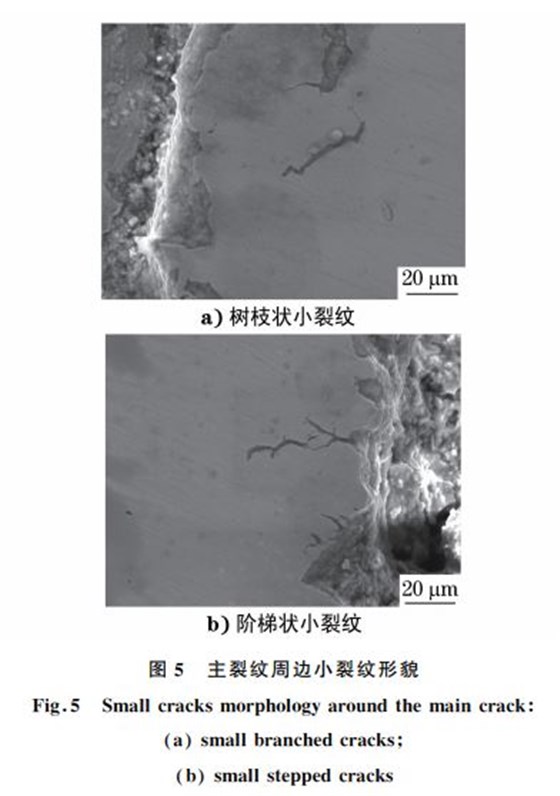 图５ 主裂纹周边小裂纹形貌