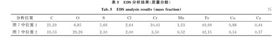 表５ EDS分析结果(质量分数)