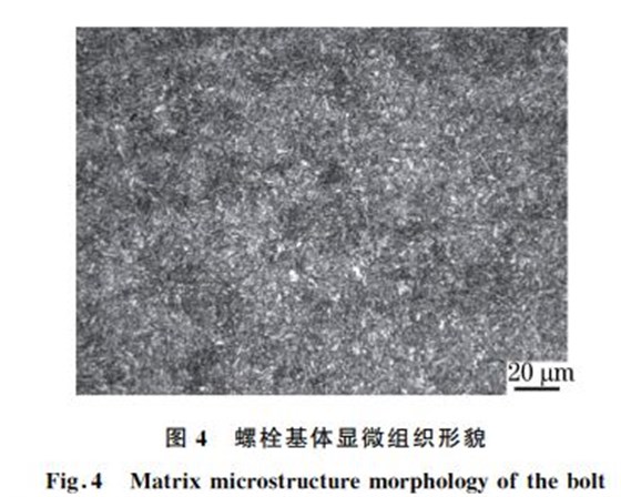 图４ 螺栓基体显微组织形貌