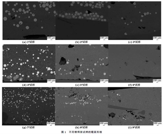 不同焊接试样的截面形貌