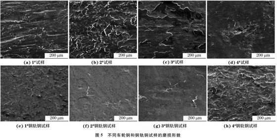 图５ 不同车轮钢和钢轨钢试样的磨损形貌