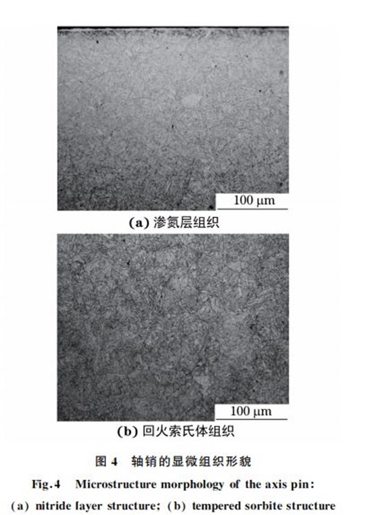 图４ 轴销的显微组织形貌