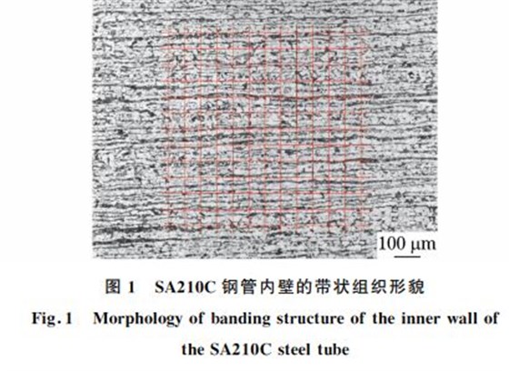 图１ SA２１０C钢管内壁的带状组织形貌