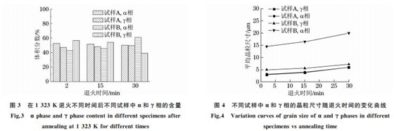 图３ 在１３２３K 退火不同时间后不同试样中α和γ相的含量