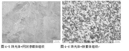 珠光体混合金相组织