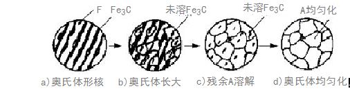 奥氏金相体检测