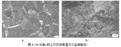 钢上贝氏体等温淬火金相组织