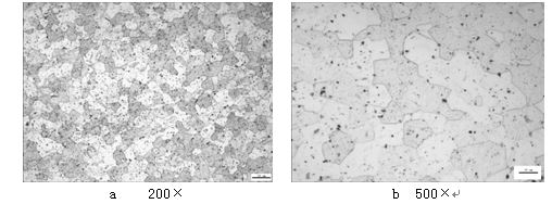 2A10铆钉成品热处理的金相组织