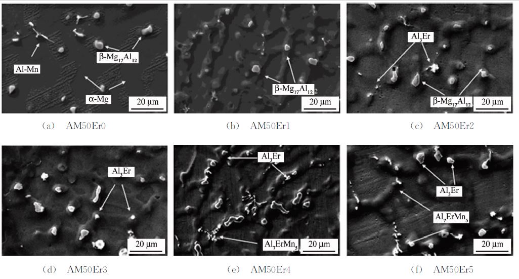 图３ 不同Ｅｒ含量ＡＭ５０合金的ＳＥＭ 图