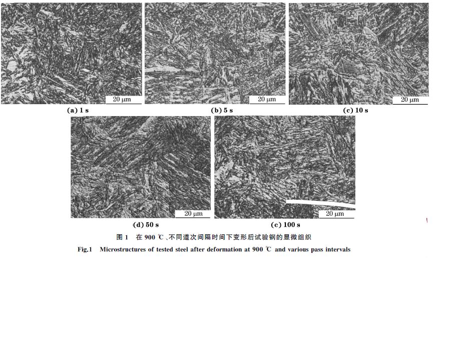 图１ 在９００ ℃、不同道次间隔时间下变形后试验钢的显微组织
