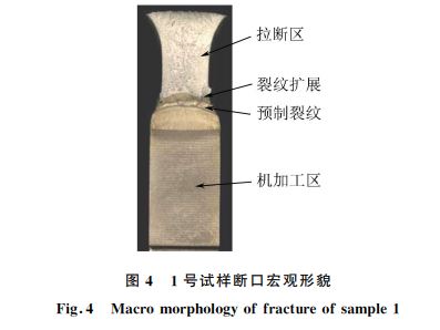 图４ １号试样断口宏观形貌
