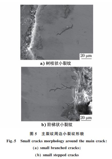 图５ 主裂纹周边小裂纹形貌