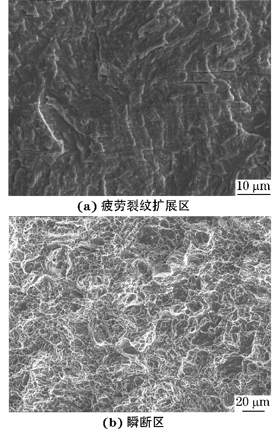 ３００M 钢试样疲劳断口不同区域的SEM 形貌