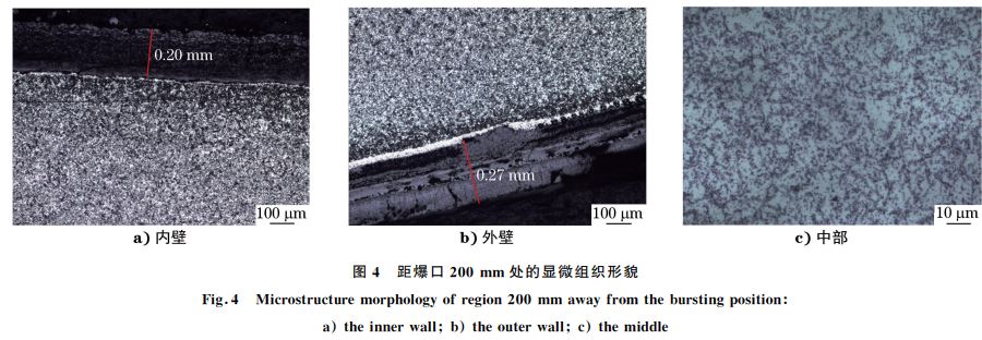 图４ 距爆口２００mm 处的显微组织形貌