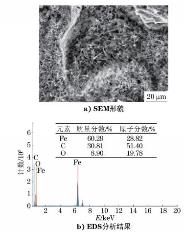 图６ 断口表面覆盖物SEM 形貌及 EDS分析结果