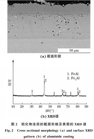 铝化物涂层的截面形貌及表面的 XRD谱