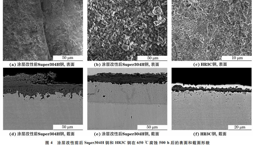 图４ 涂层改性前后Super３０４H 钢和 HR３C钢在６５０ ℃腐蚀５００h后的表面和截面形貌