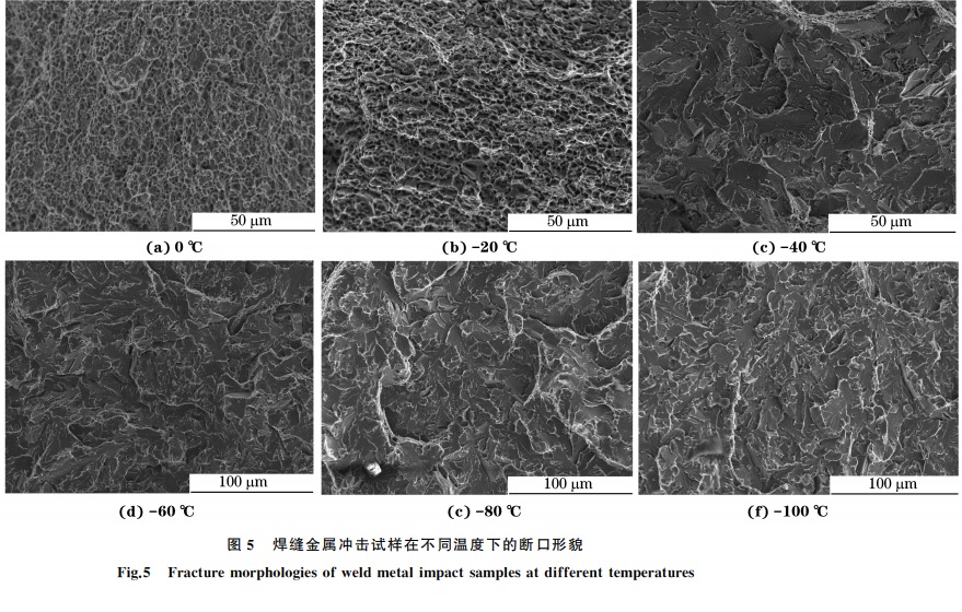 图５ 焊缝金属冲击试样在不同温度下的断口形貌