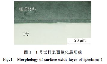 图１ １号试样表面氧化层形貌