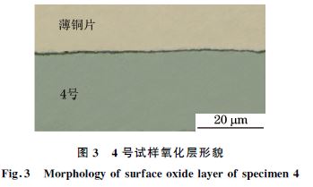 图３ ４号试样氧化层形貌