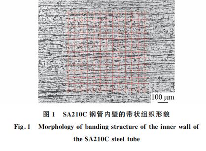 图１ SA２１０C钢管内壁的带状组织形貌