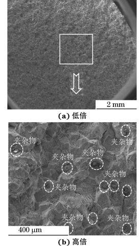 图２ 断裂螺栓断口裂纹源区的SEM 形貌
