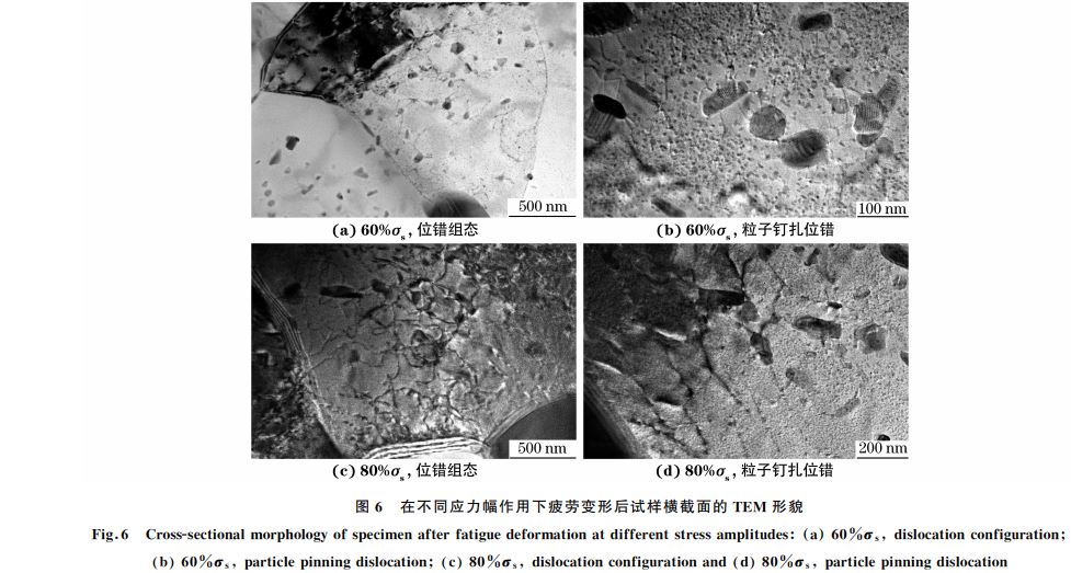 图６ 在不同应力幅作用下疲劳变形后试样横截面的 TEM 形貌