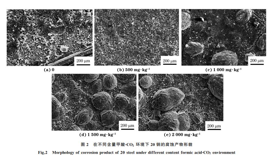 图２ 在不同含量甲酸ＧCO２ 环境下２０钢的腐蚀产物形貌