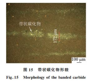 图１５ 带状碳化物形貌