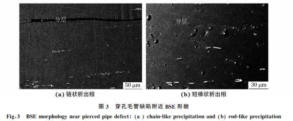 图3 穿孔毛管缺陷附近 BSE形貌